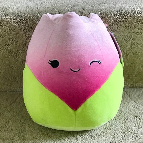 8” Squishmallow Bridgie
Brand New with Tags
Pink Tulip Squishmallow - Picture 1 of 5